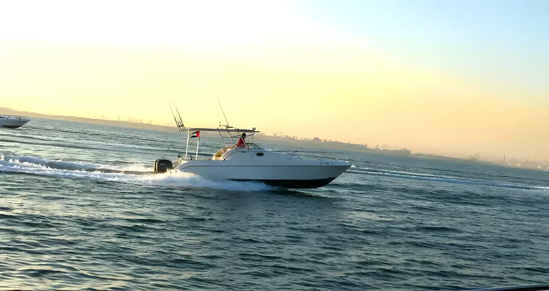 Butinah-5 33FT Charter