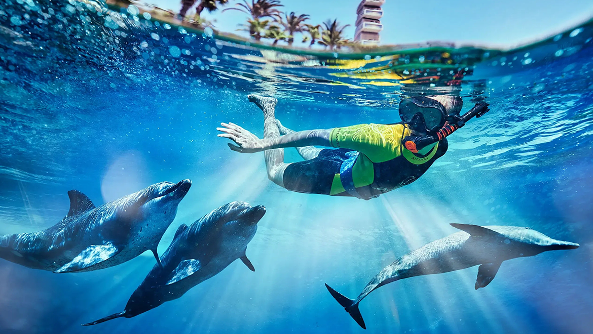 Fishing & Island Swimming in Dubai and Abu Dhabi: Ultimate Guide for Families & Groups